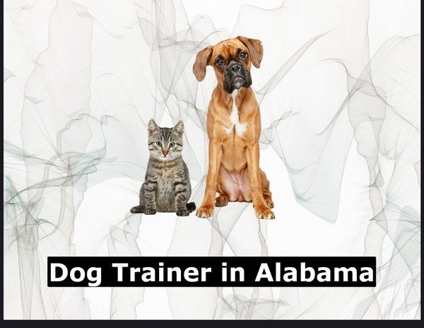 Dog Trainer in Alabama