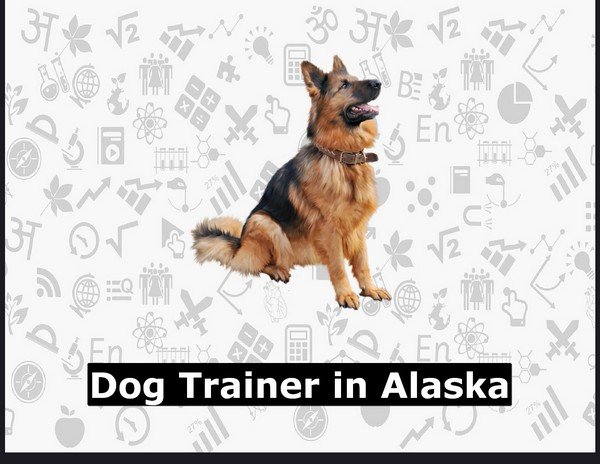 Dog Trainer in Alaska