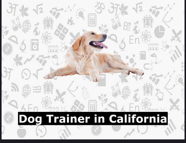 Dog Trainer in California
