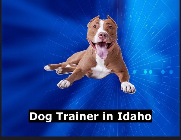 Dog Trainer in Idaho