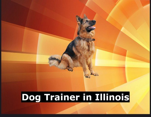 Dog Trainer in Illinois