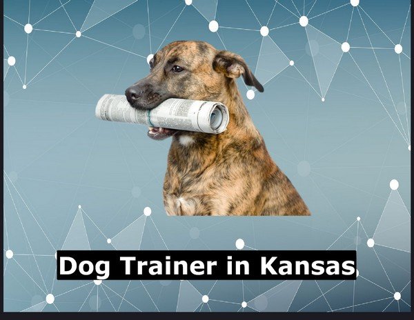 Dog Trainer in Kansas