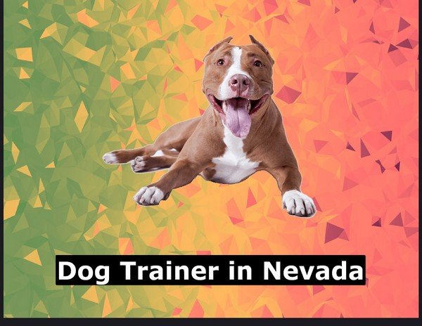 Dog Trainer in Nevada