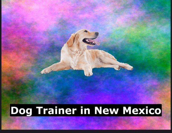 Dog Trainer in New Mexico