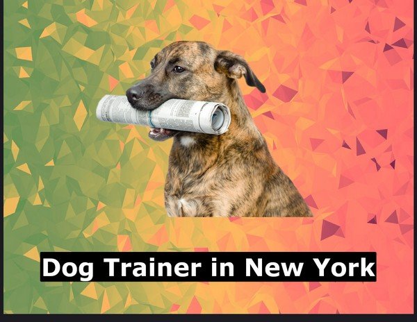 Dog Trainer in New York