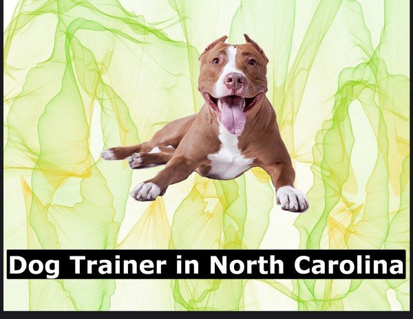 Dog Trainer in North Carolina