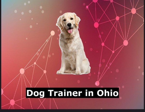 Dog Trainer in Ohio