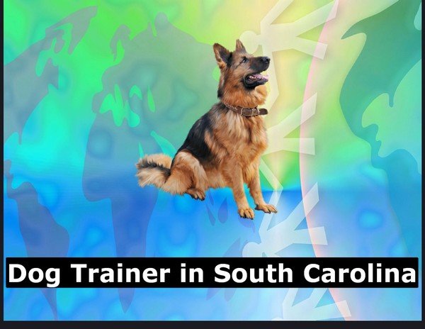 Dog Trainer in South Carolina