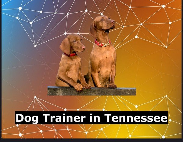 Dog Trainer in Tennessee