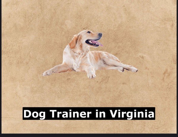 Dog Trainer in Virginia