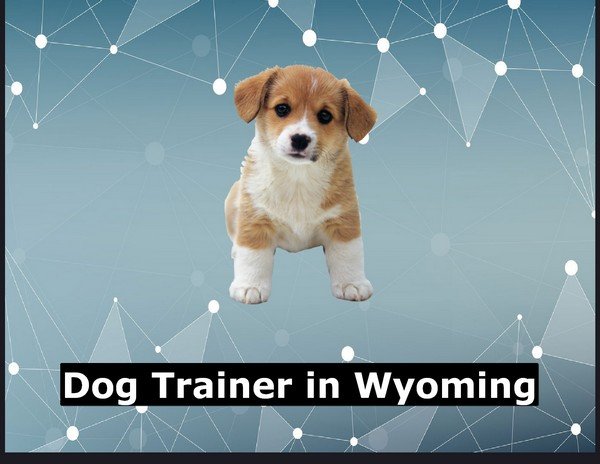 Dog Trainer in Wyoming