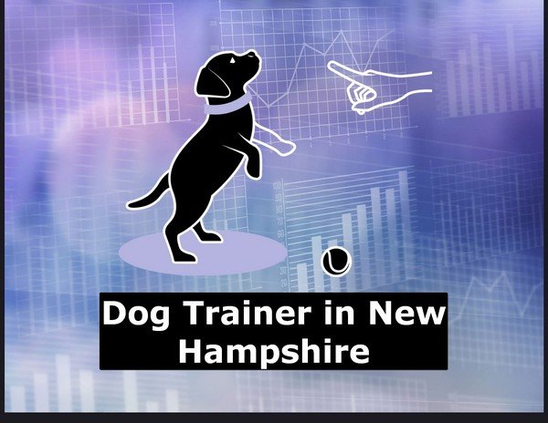 Dog Trainer in New Hampshire