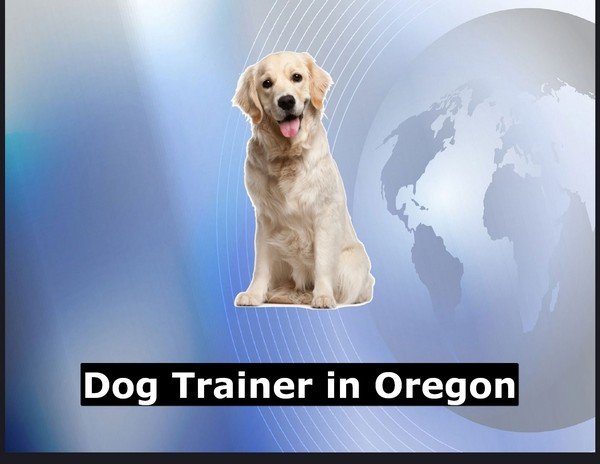 Dog Trainer in Oregon