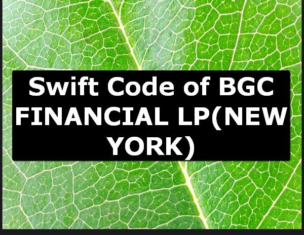 Swift Code of BGC FINANCIAL LP NEW YORK