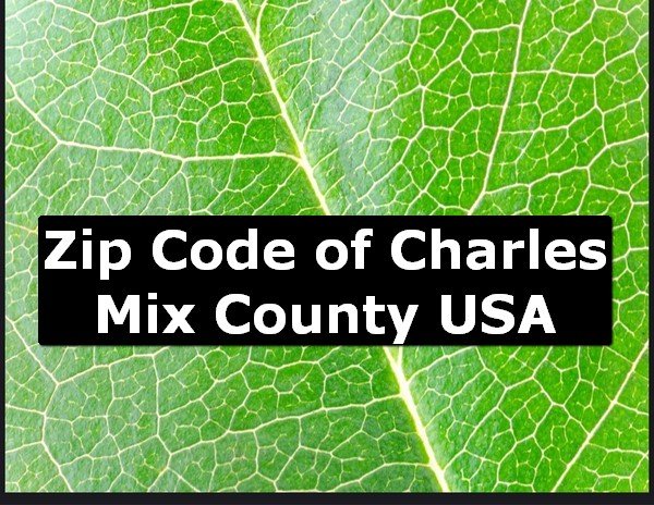 Zip Code of Charles Mix County USA