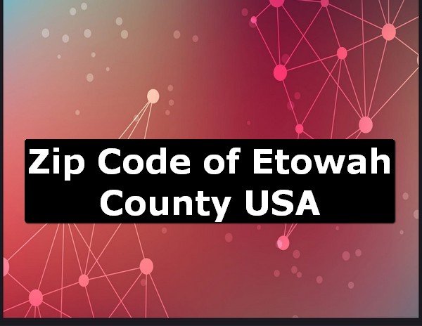 Zip Code of Etowah County USA