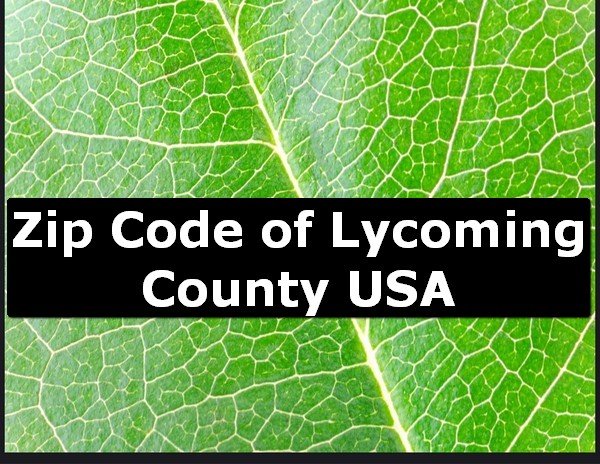Zip Code of Lycoming County USA