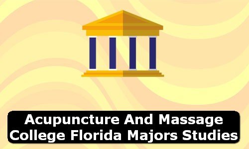 Acupuncture and Massage College Florida Majors Studies