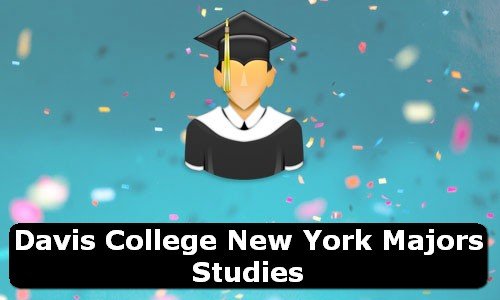 Davis College New York Majors Studies