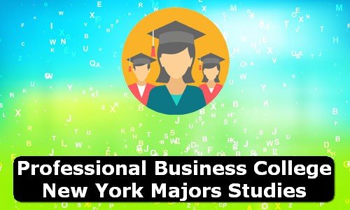 Professional Business College New York Majors Studies