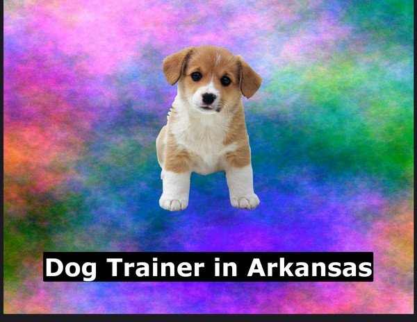 Dog Trainer in Arkansas