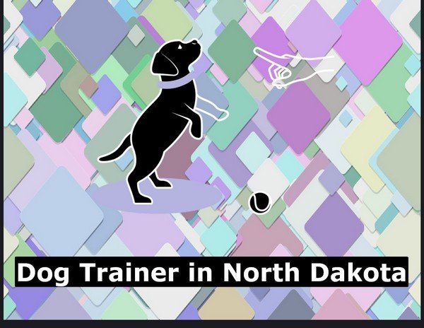 Dog Trainer in North Dakota