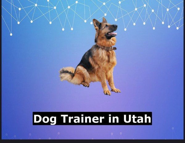 Dog Trainer in Utah