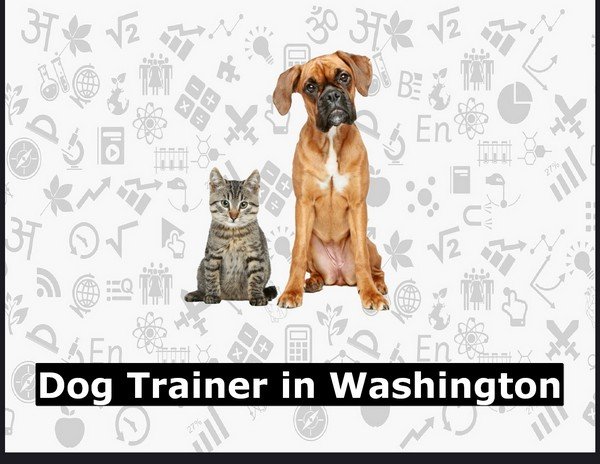 Dog Trainer in Washington