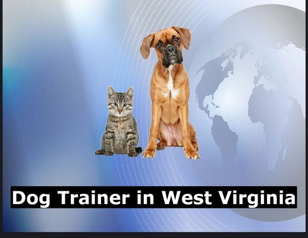 Dog Trainer in West Virginia