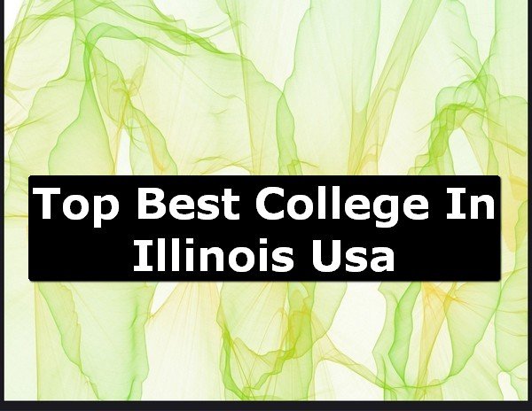 Best College of Illinois County USA