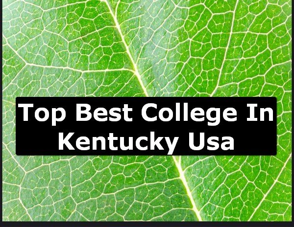 Best College of Kentucky County USA