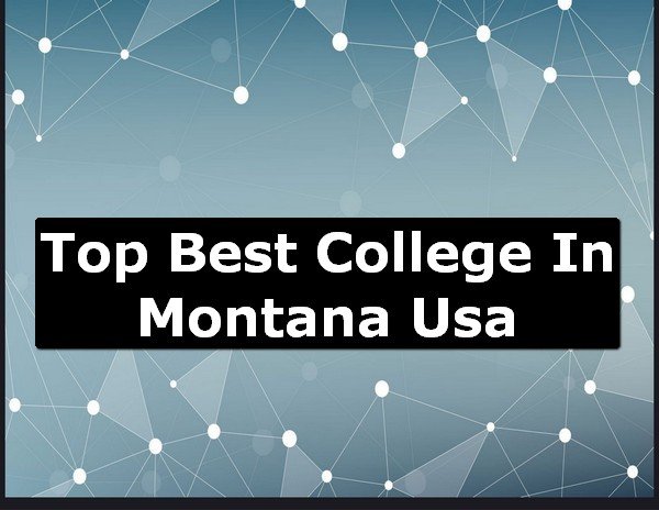 Best College of Montana County USA