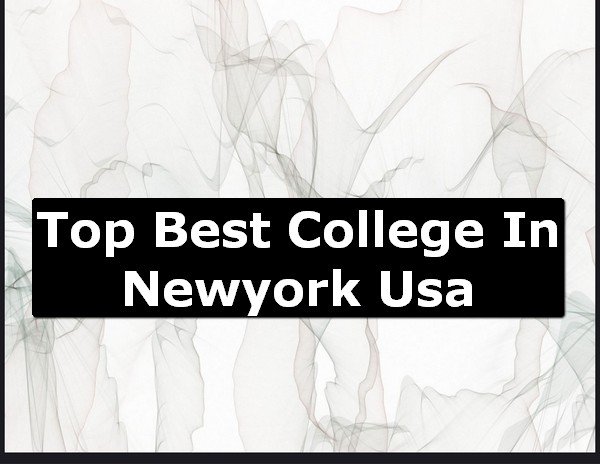 Best College of New York County USA