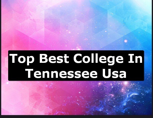 Best College of Tennessee County USA